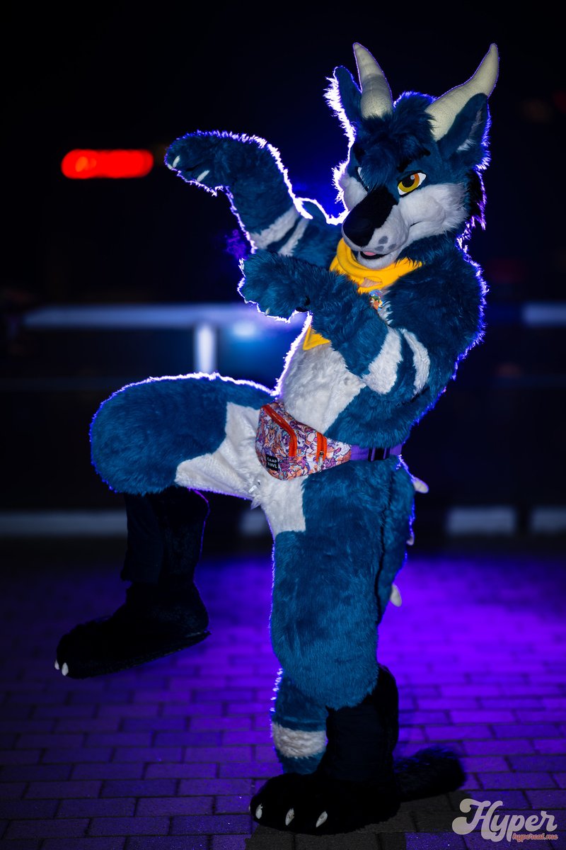 dirdwolf @ lvfc tweet media