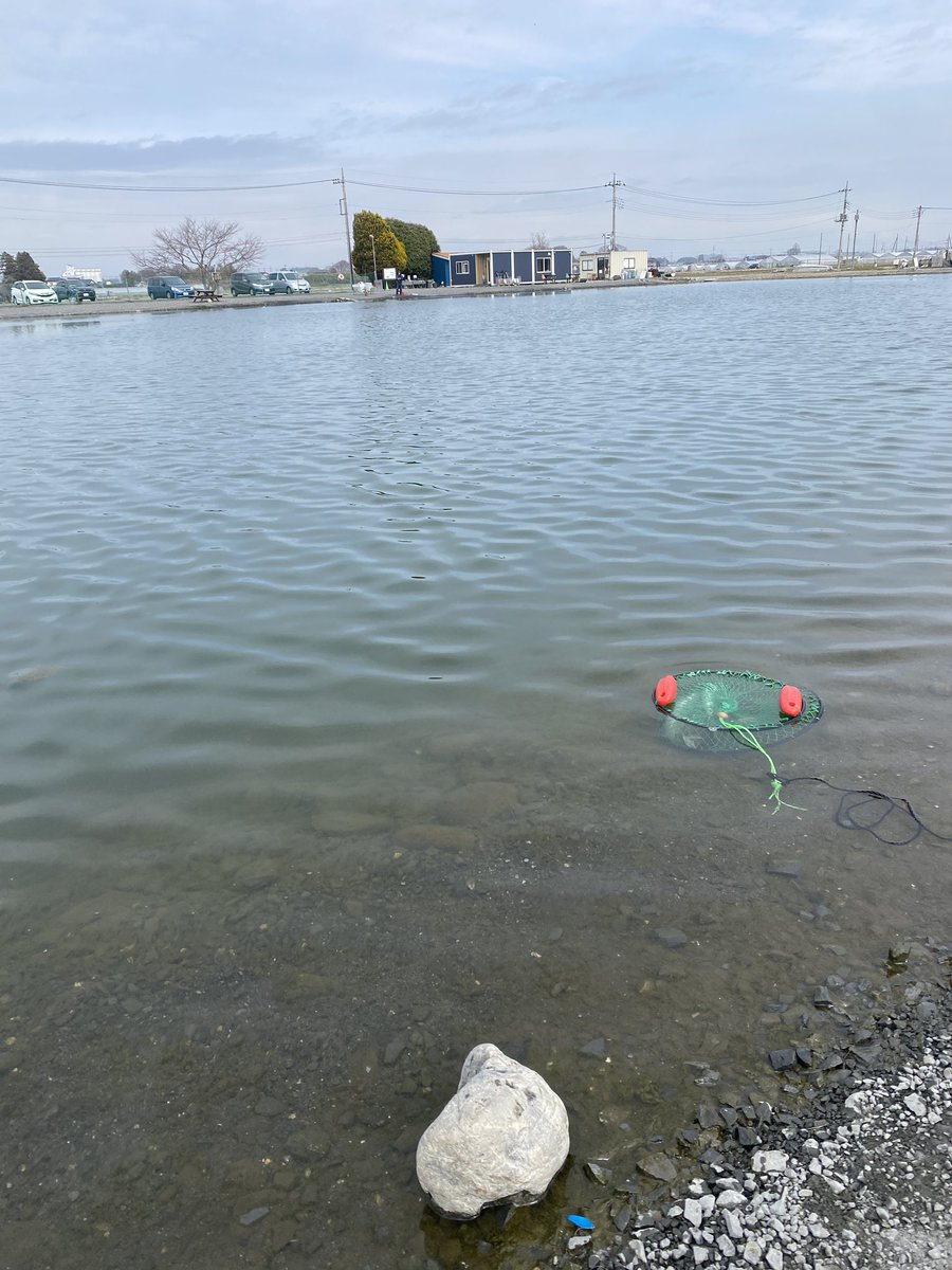 ☆みっちー☆ tweet media