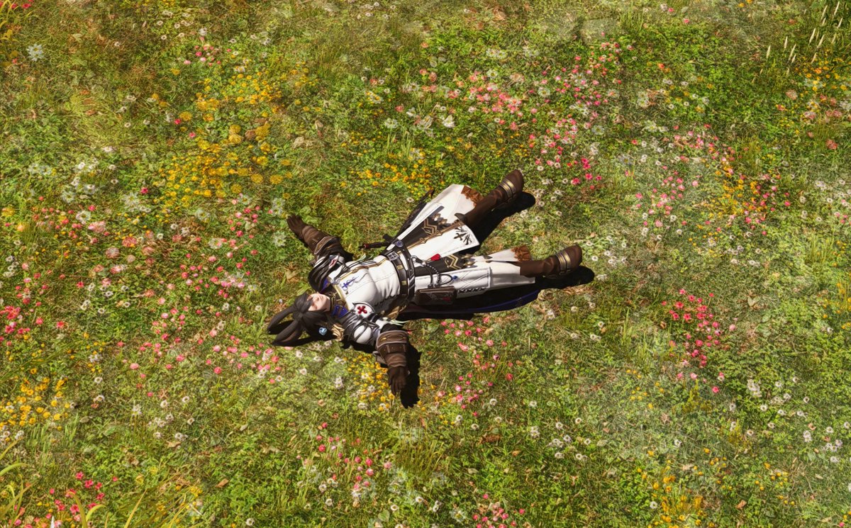 Galatariel Nerimae 🌱 tweet media