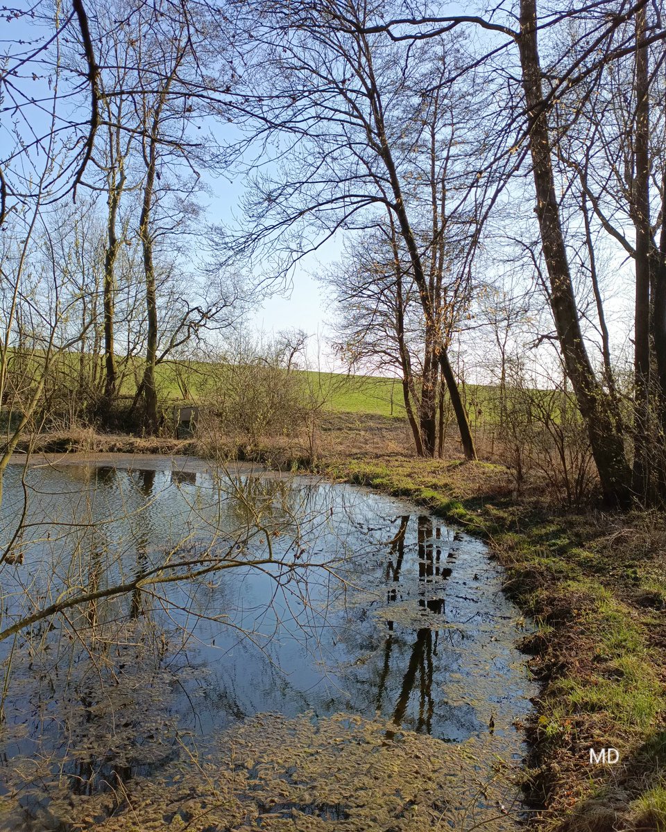 Martina Dvorská tweet media