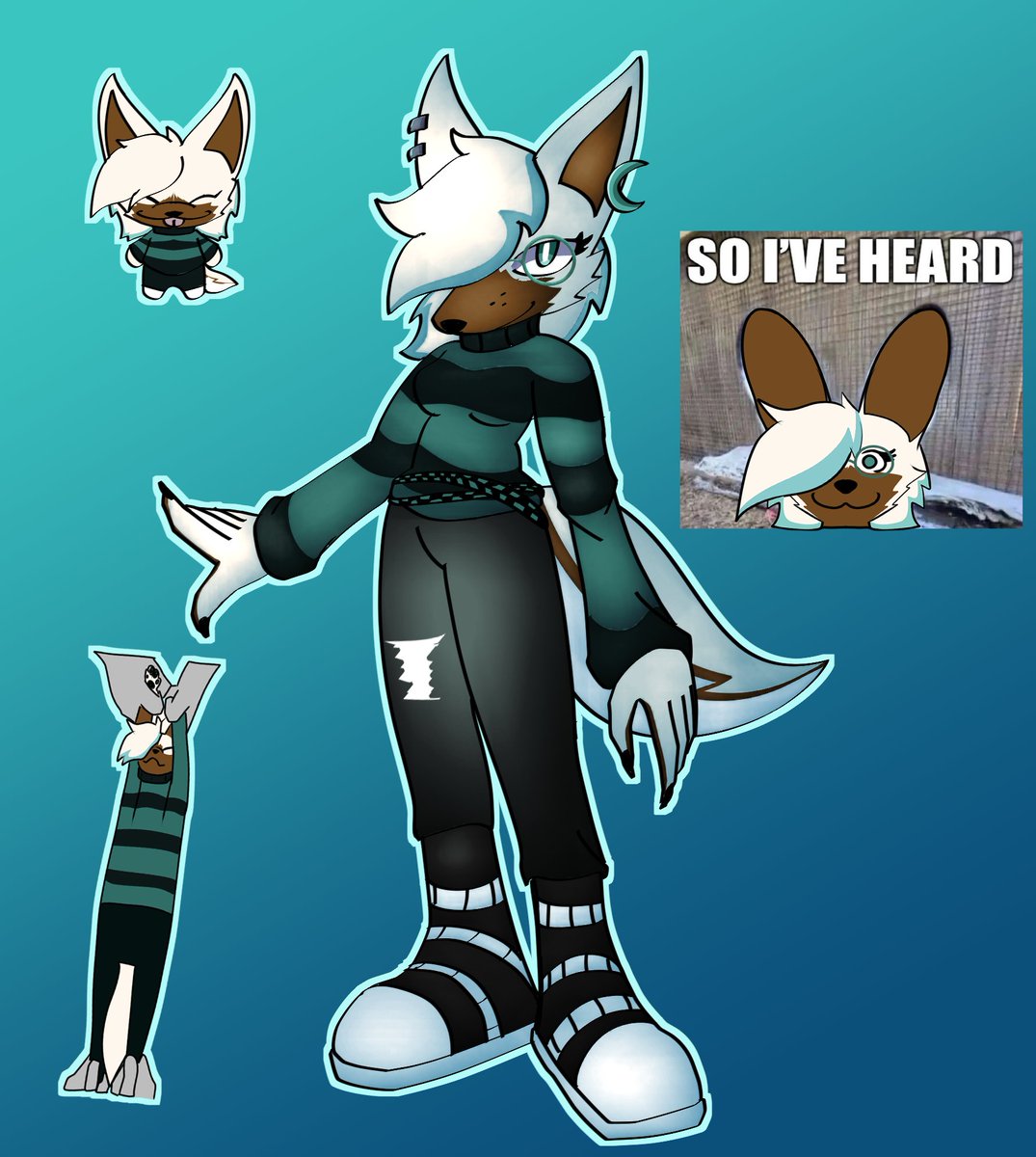 🖤 Raven 🖤 tweet media