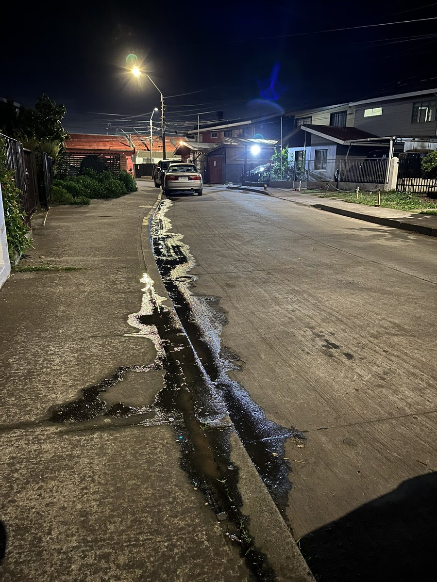 Gonzalo E. Ortega tweet media