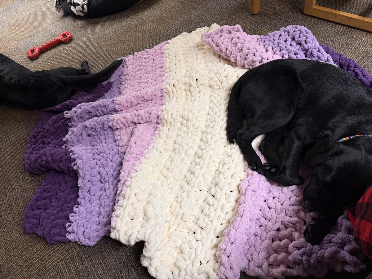 ellie ౨ৎ tweet media