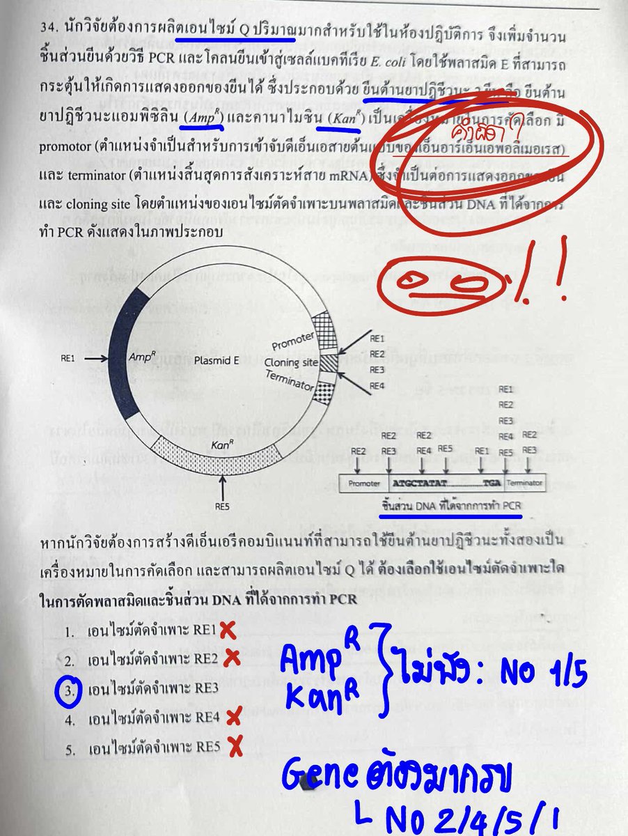 พี่บอล bioislike tweet media