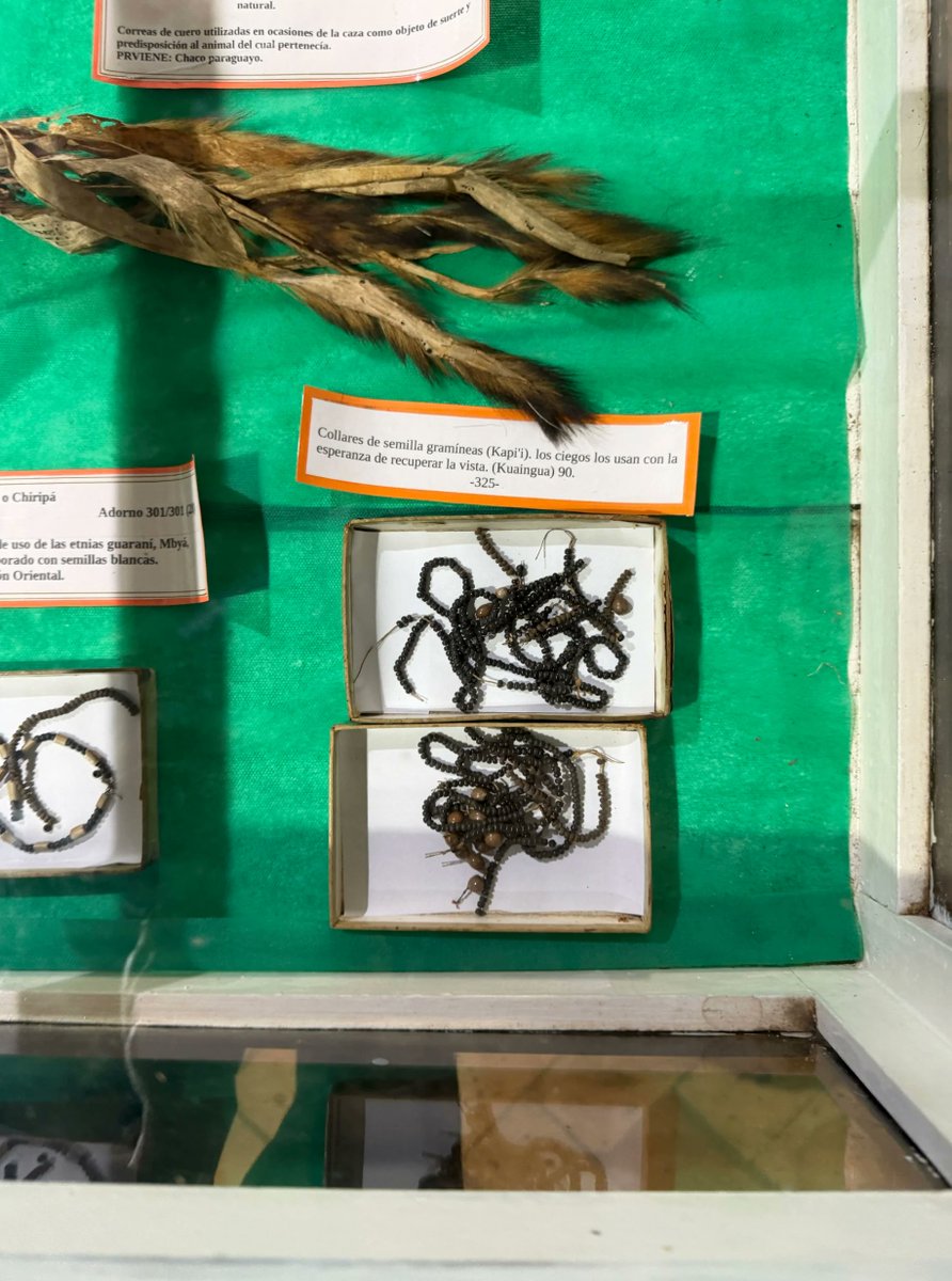 Lorde fix 🩻🧬⛓️ tweet media