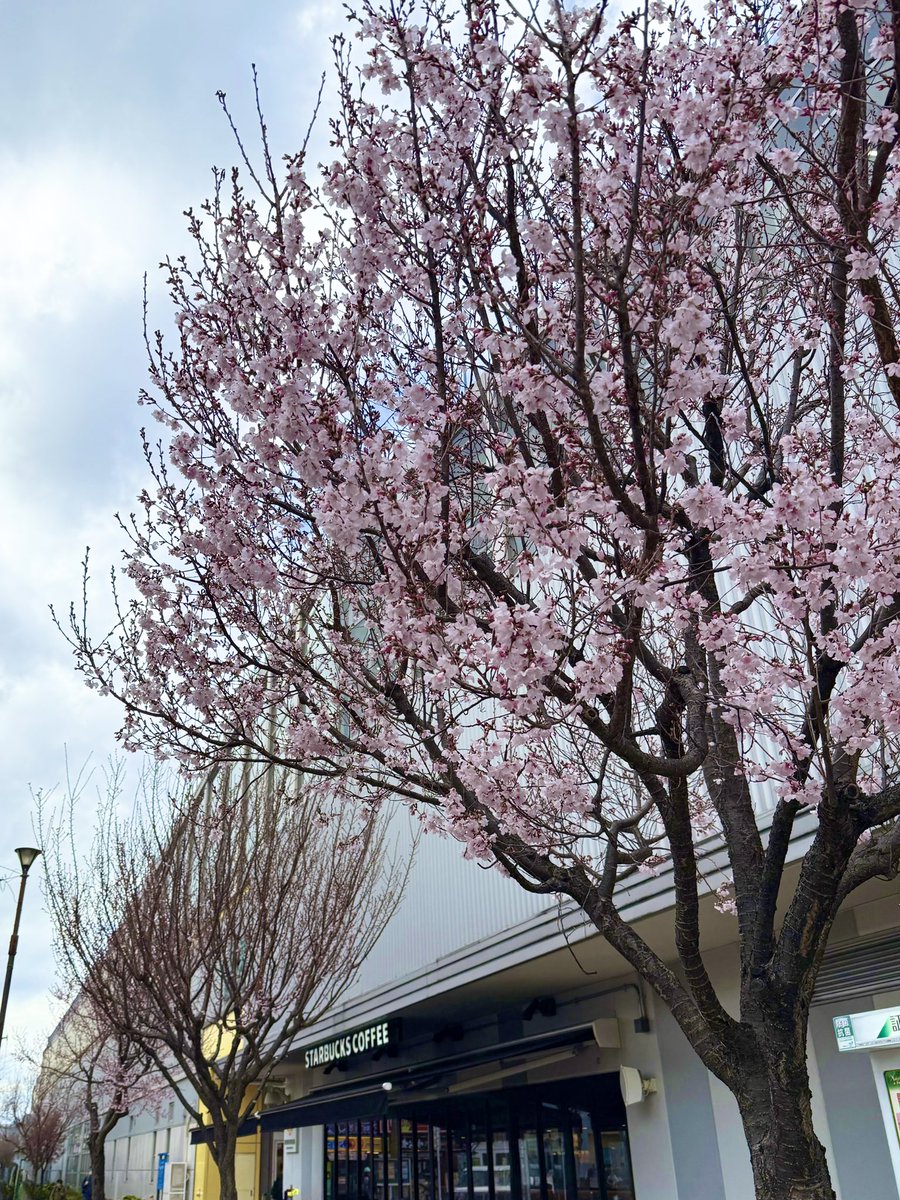 菓子工房ビルドルセ tweet media