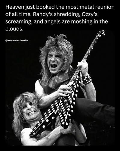 Sean Mcdowell tweet media