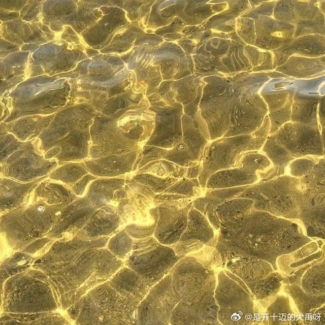 Simon Paré tweet media