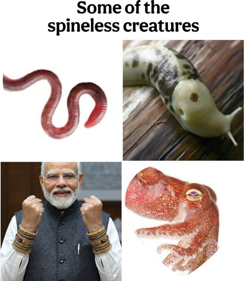 Cherian C L tweet media