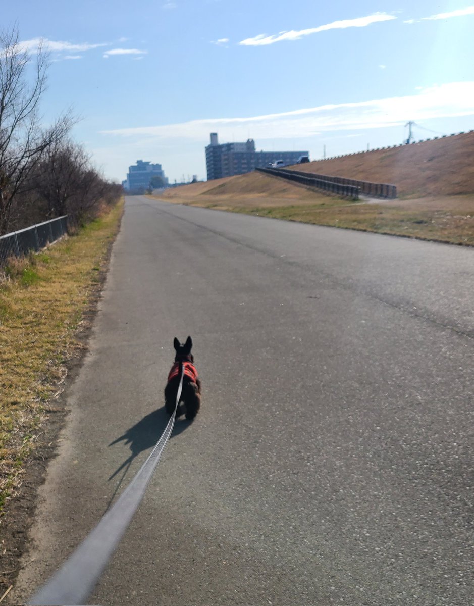 マナミ tweet media