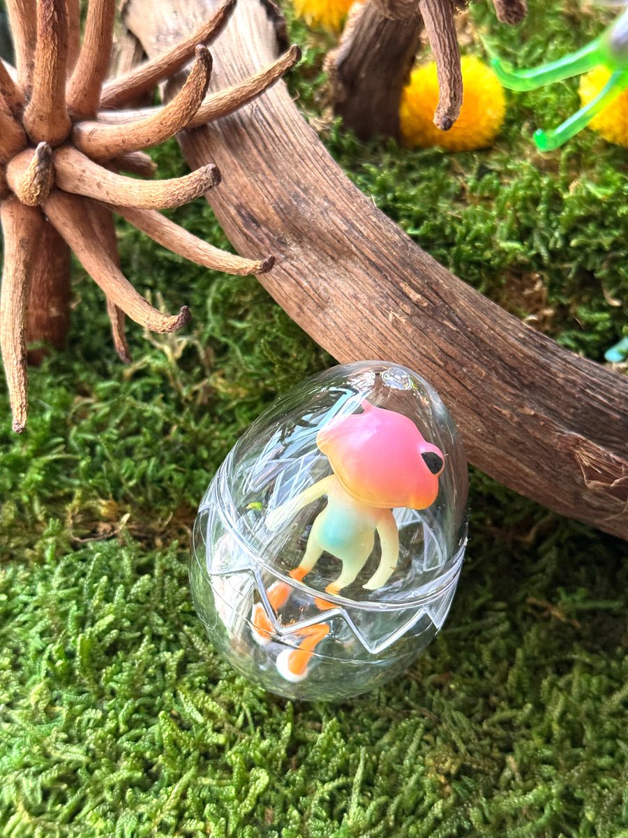 ワンダショップオフィシャル tweet media