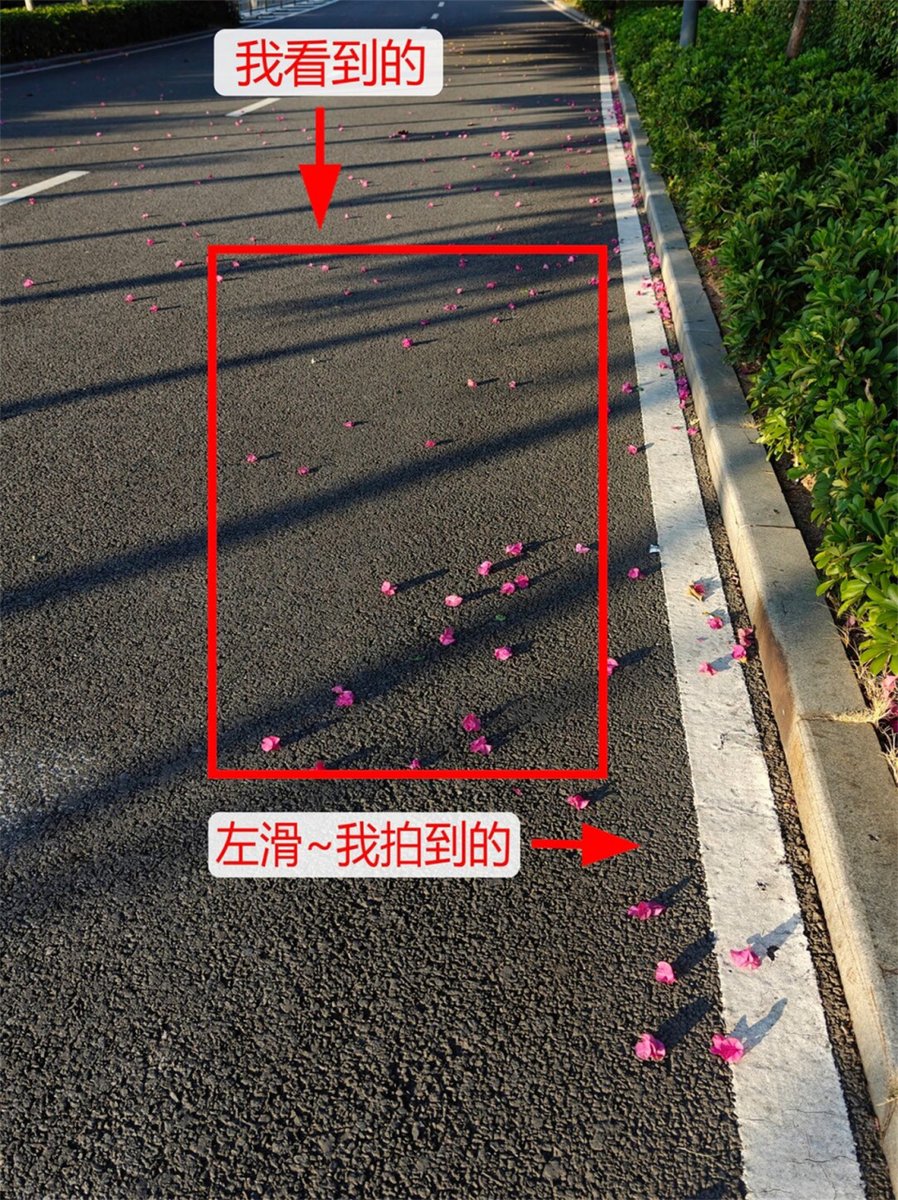 Richie Chapman tweet media