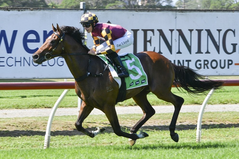 Racing NSW tweet media