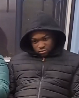 Mr Steverino tweet media