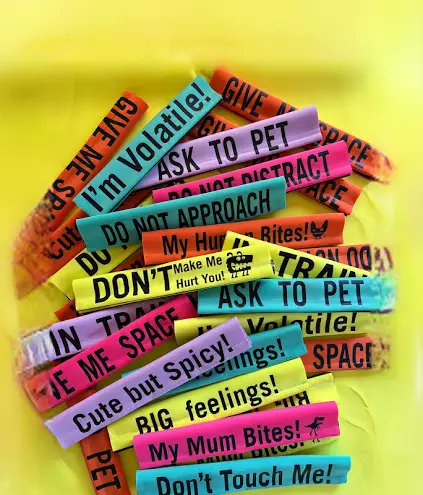 Chain_linkfence's tweet photo. Leash sleeve that says "Please use puppy mouth" on me when https://t.co/xT016sA3w7