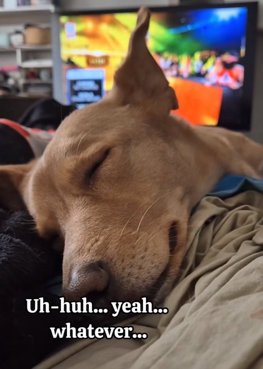 Punk 🇵🇸 tweet media