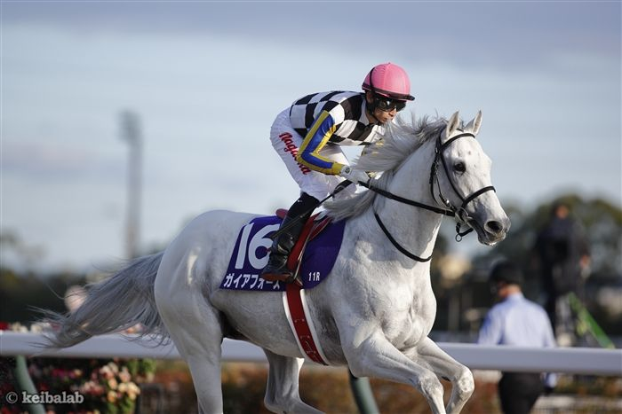 競馬ラボ tweet media