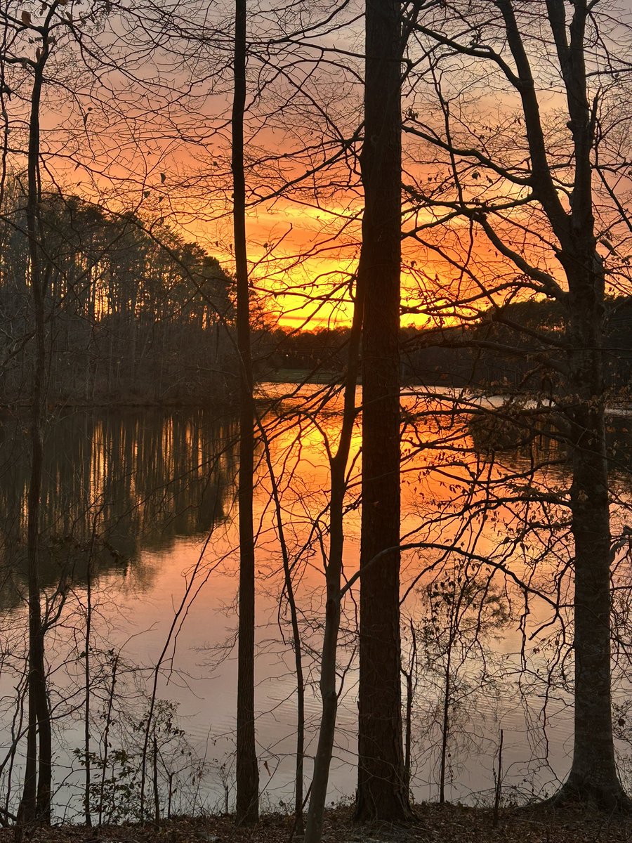 Maiv Lig Lauj tweet media