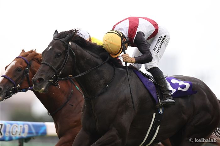 競馬ラボ tweet media