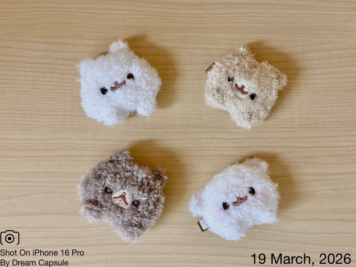 ドリームカプセルの中の人【公式】 tweet media