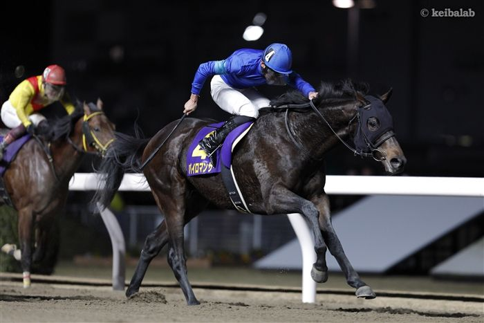 競馬ラボ tweet media