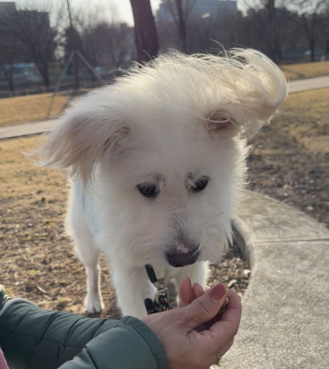 똥안부 tweet media