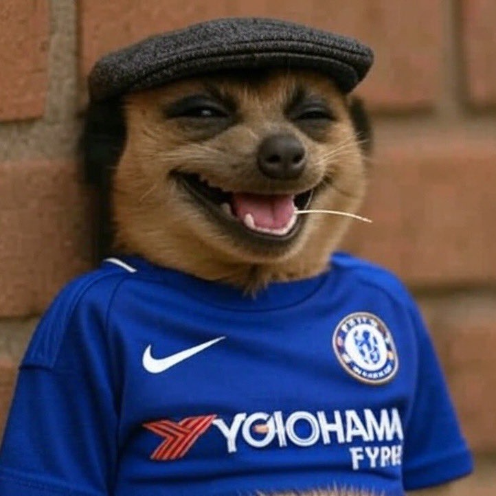 Extra busy tweet media