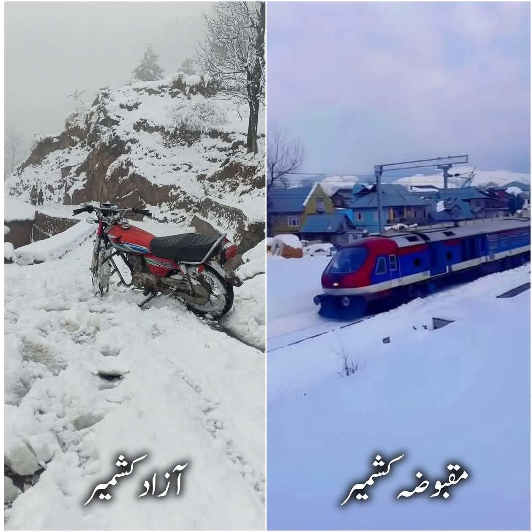 Rana Zeeshan Hameed tweet media