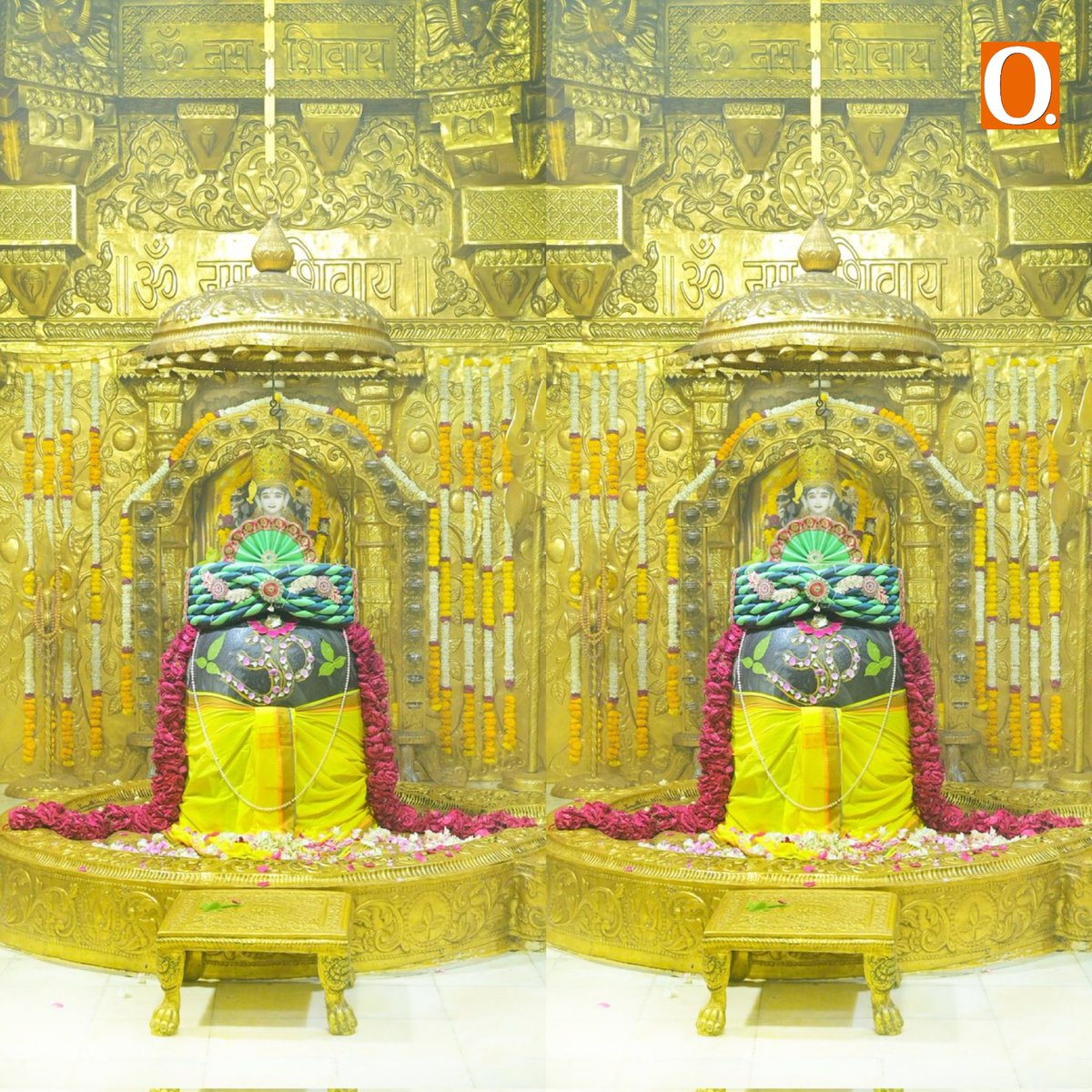 Organiser Weekly tweet media