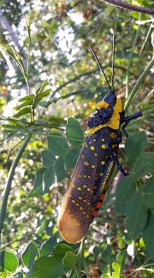 𝕮𝖍𝖎❇️ tweet media