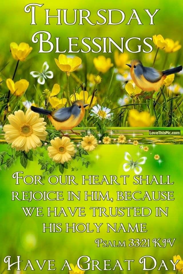 Luz Rivera 🇵🇷 tweet media