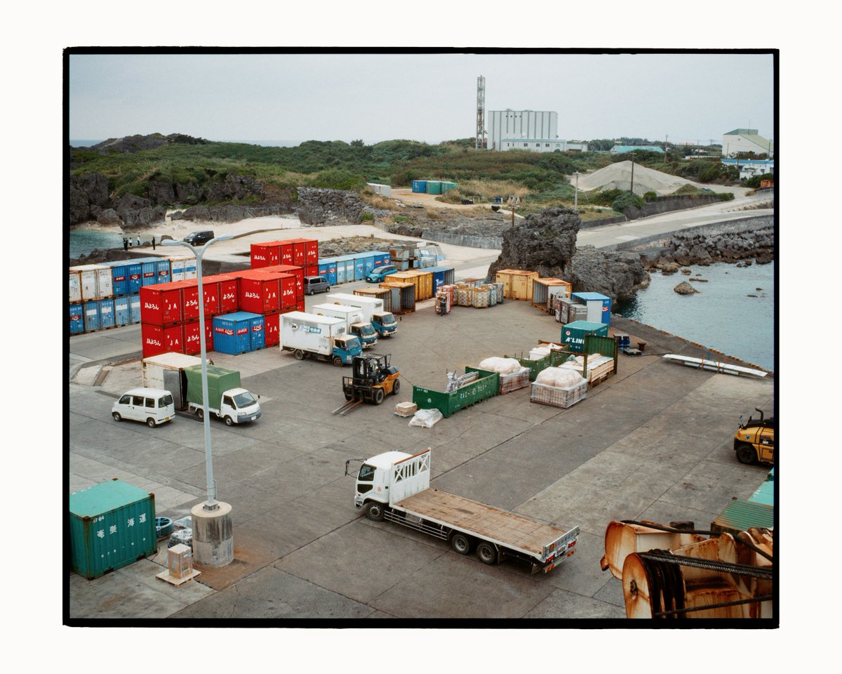 🌲🌲 tweet media