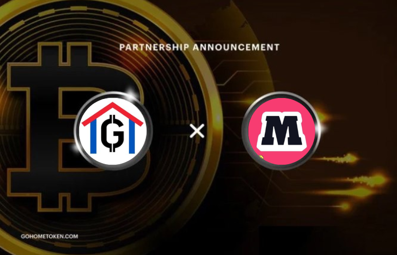 GOHOME TOKEN tweet media