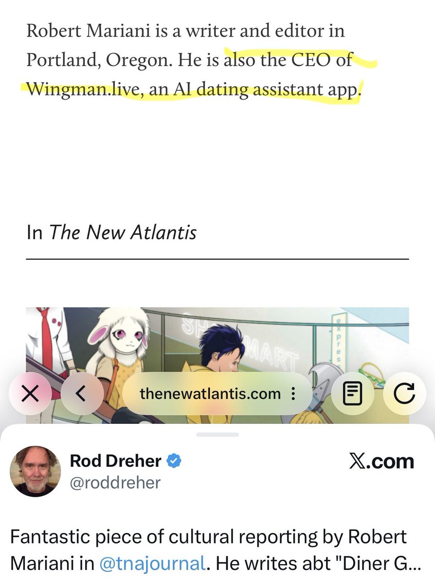 The Provost / سيدة الفتنة tweet media