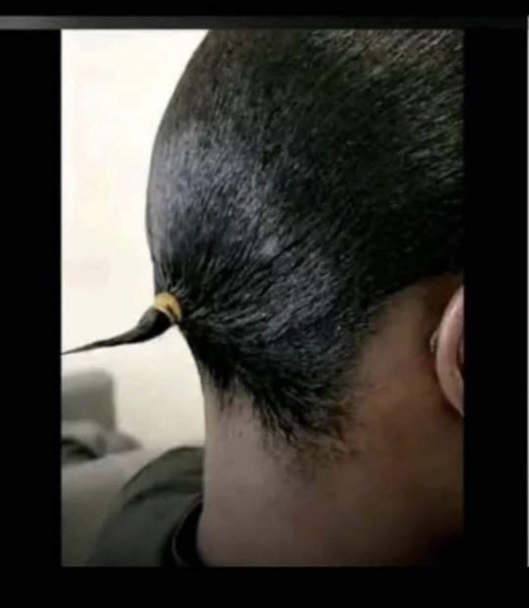 Habiba Sunusi tweet media