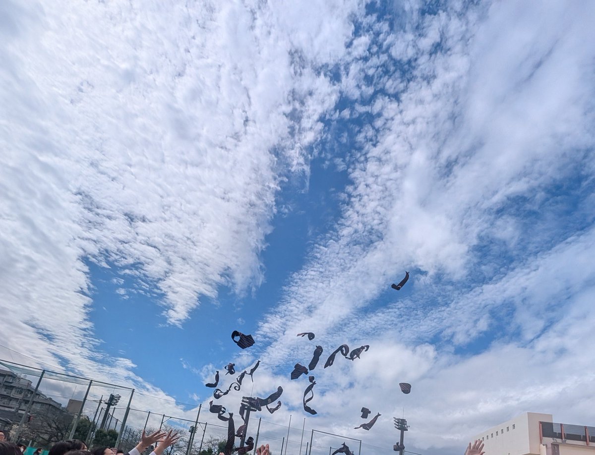 *hiro*🌏 tweet media