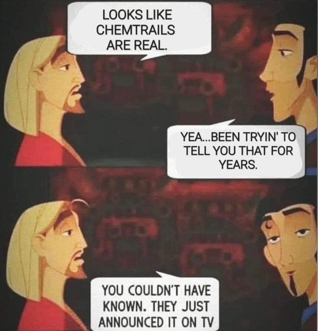 rabbitholebot tweet media