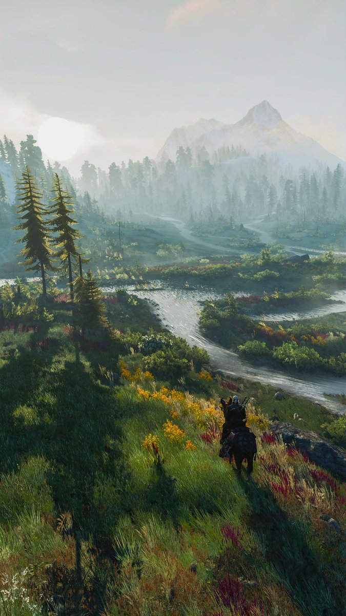 The Witcher tweet media