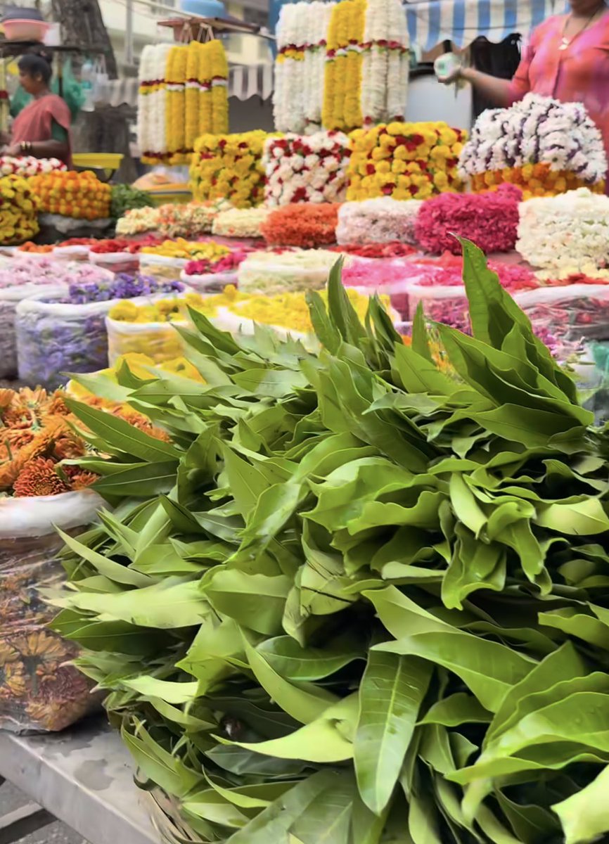 Pranjali tweet media