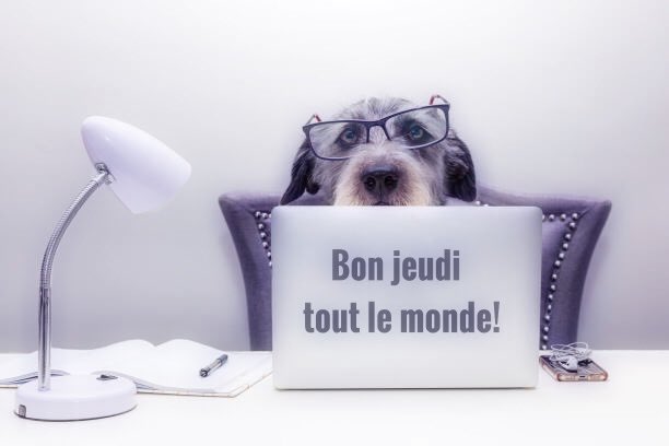 🌸Marycolombine🌸 tweet media