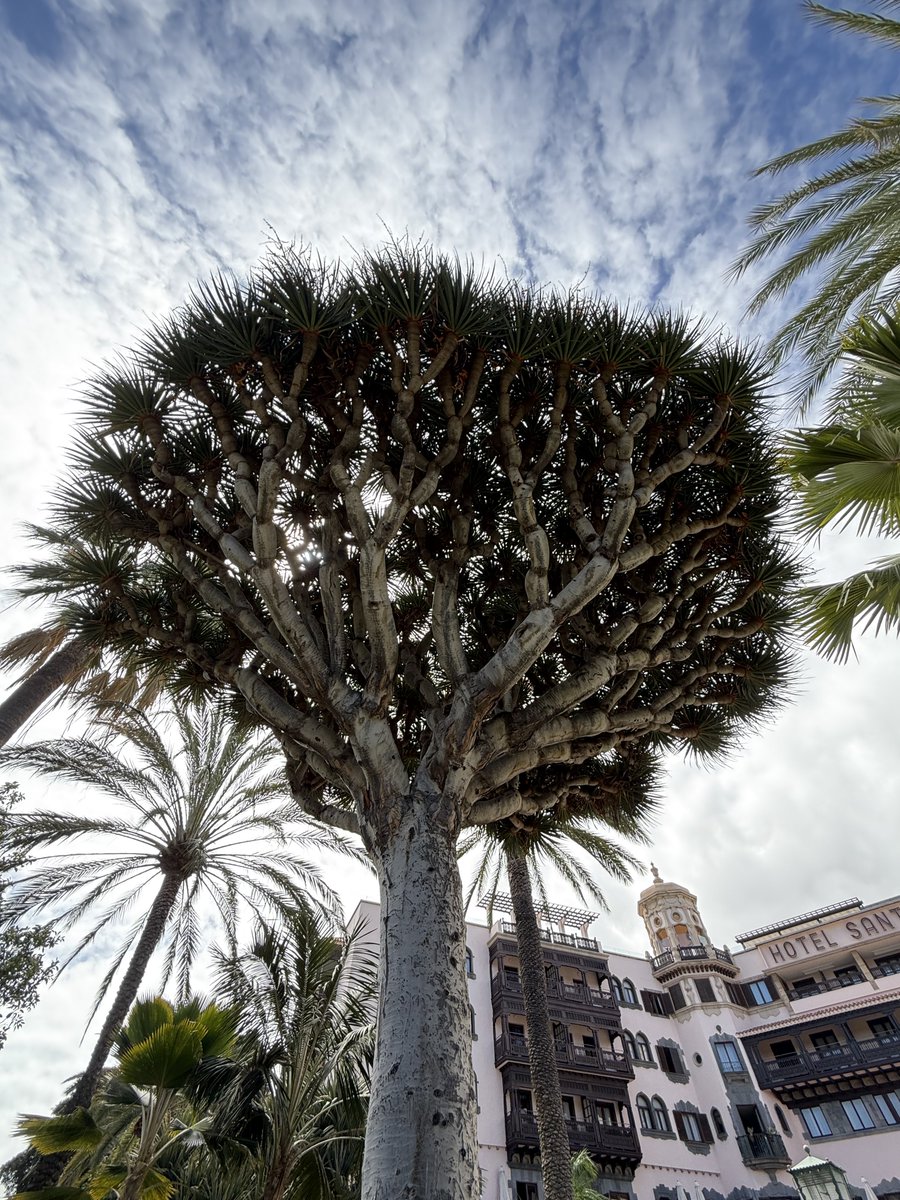 Peter Timmermans tweet media