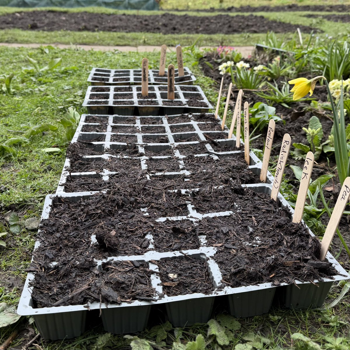 Trevelyan College tweet media