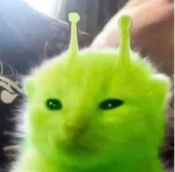 Wick李🔶 BNB tweet media