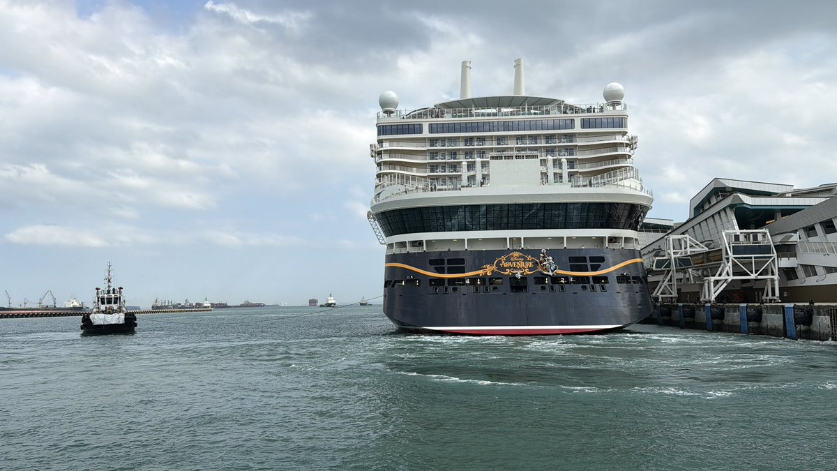 Theme Park Express tweet media