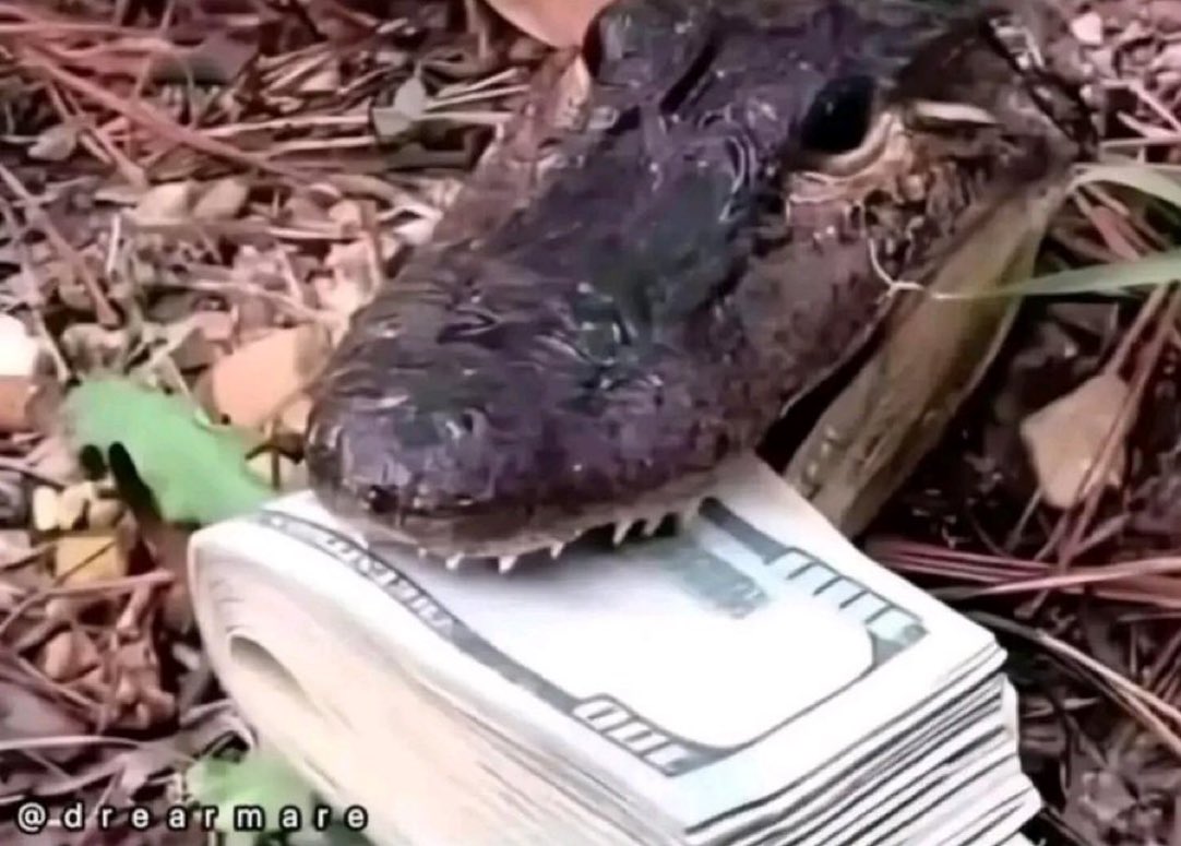 Öpe-yemi tweet media