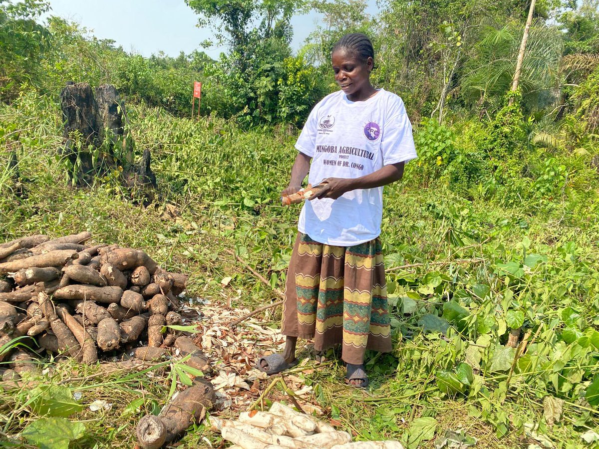 Fonds pour les Femmes Congolaises - FFC tweet media