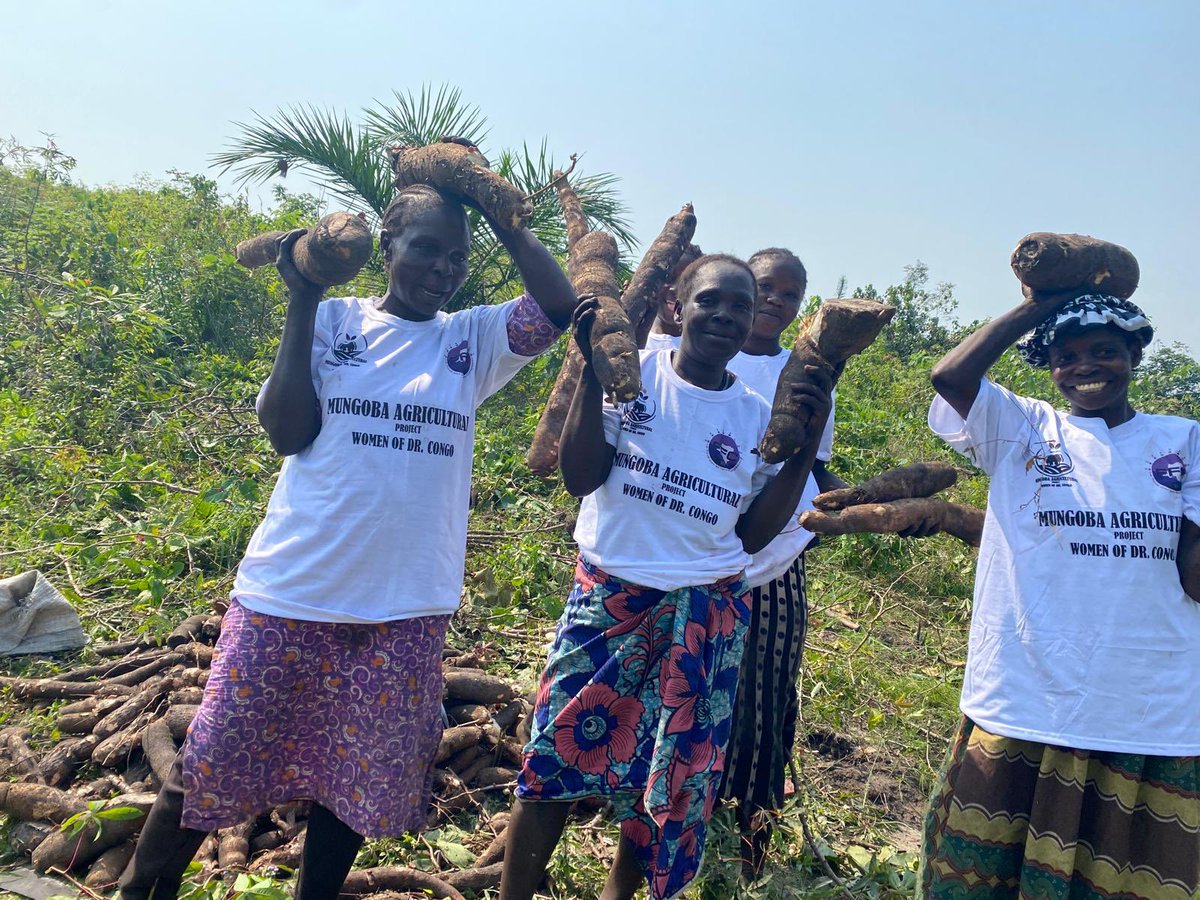 Fonds pour les Femmes Congolaises - FFC tweet media