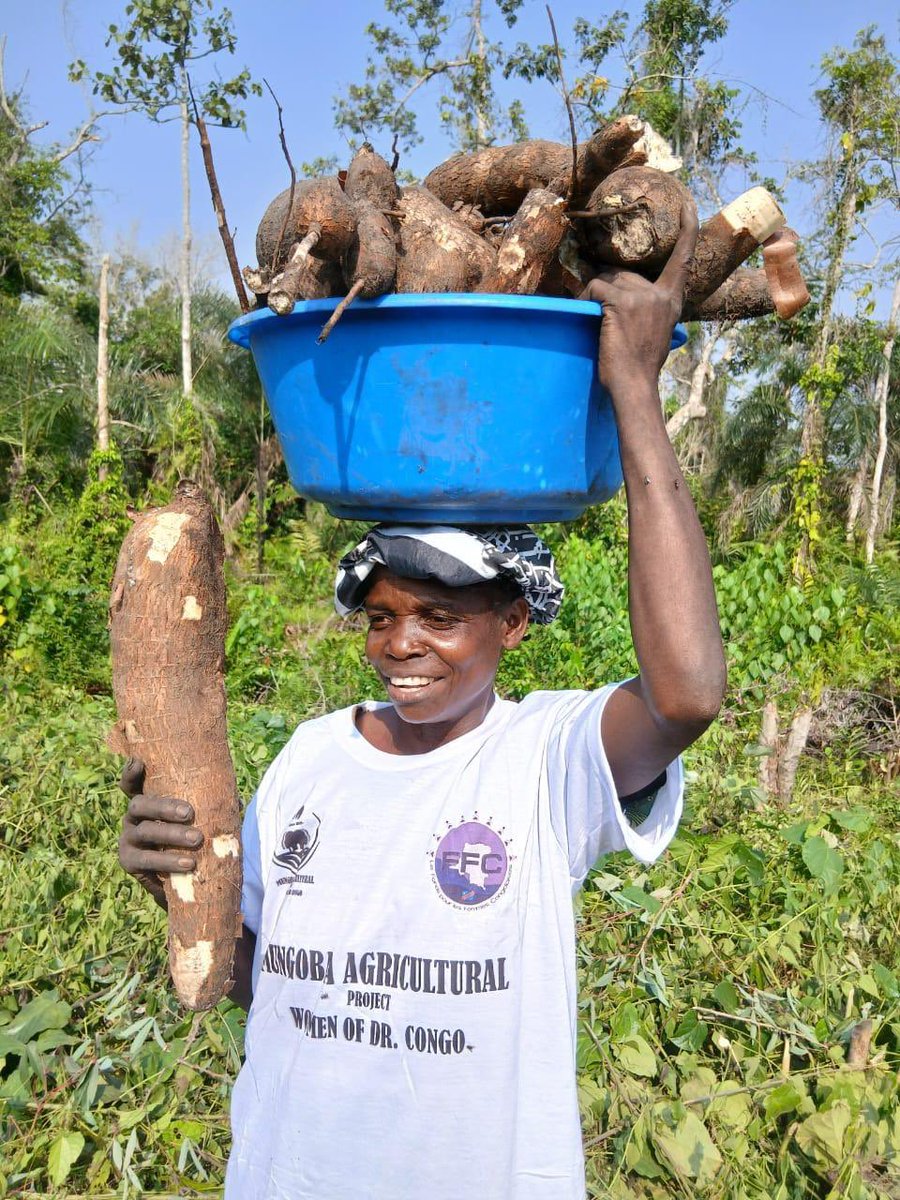 Fonds pour les Femmes Congolaises - FFC tweet media