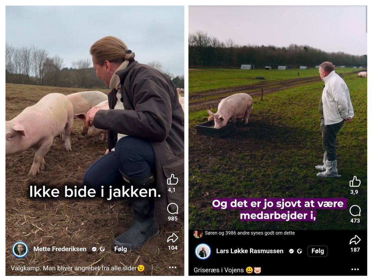 Rasmus Kirkegaard tweet media