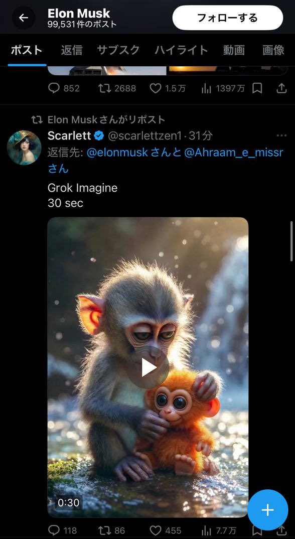 Punch Fan account tweet media